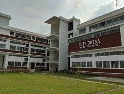 Cute Dress Building