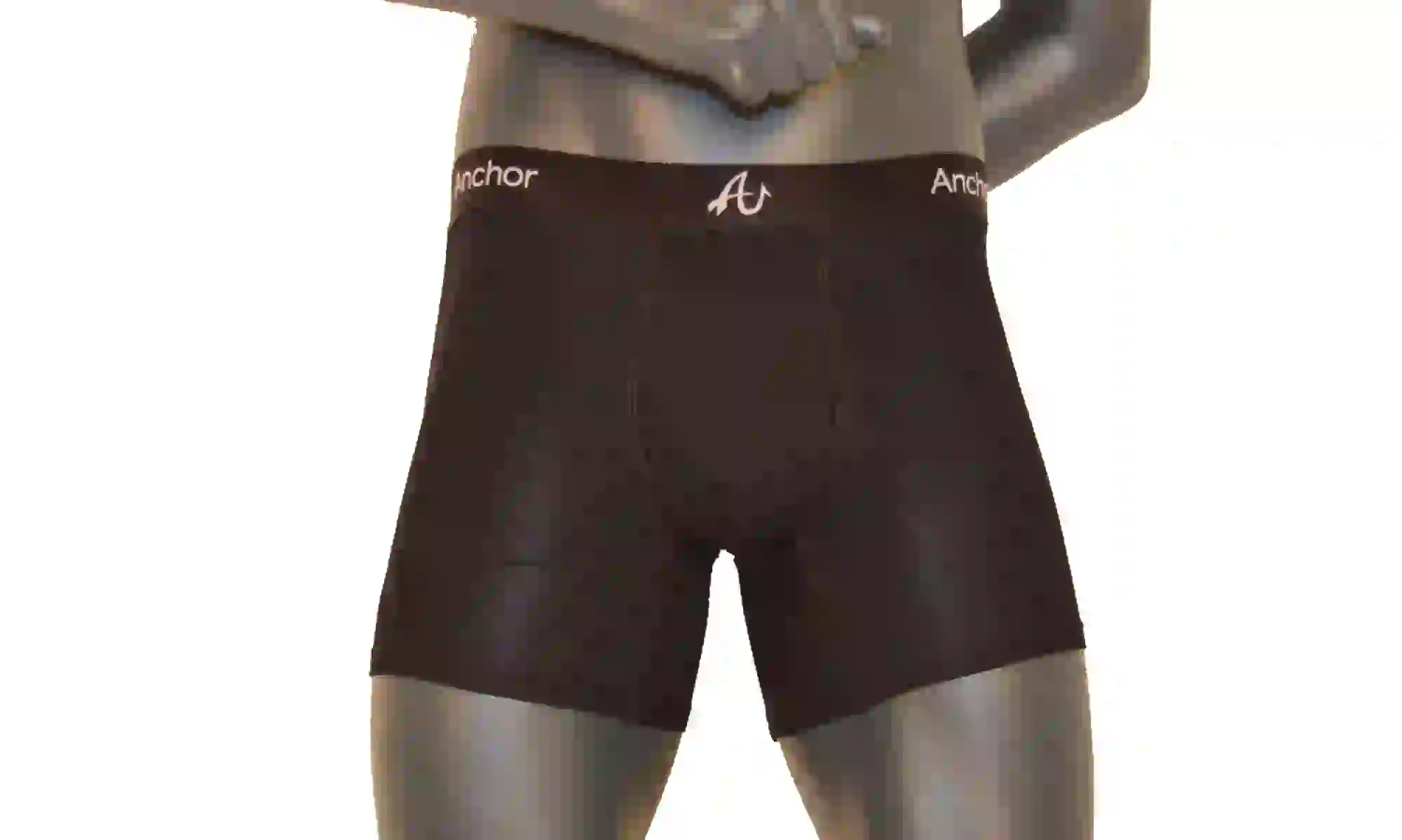 Black pair of Anchor Underwear boxer briefs on a gray mannequin. Picture taken from the front. Low quality-placeholder image
